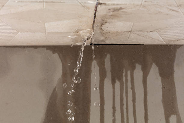 Professional Water Damage Repair technician working in Floresville, TX